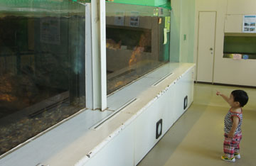 DSC08844.jpg