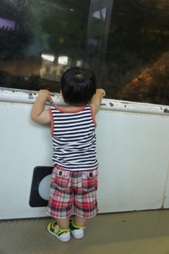 DSC08847.jpg
