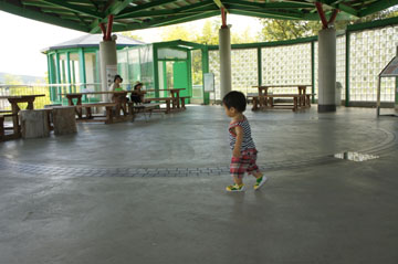 DSC08877.jpg