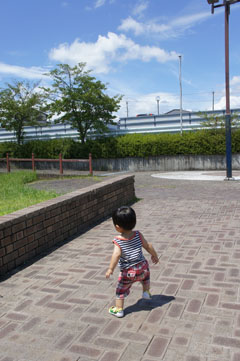 DSC08890.jpg