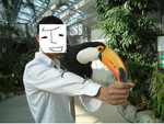 餌付け.jpg
