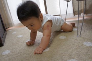 DSC01170.jpg