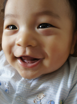 DSC01248.jpg