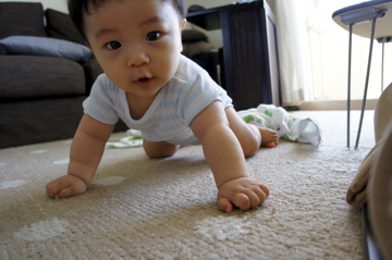 DSC01367.jpg
