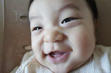 DSC01411.jpg