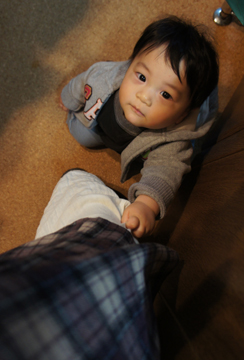 DSC02764.jpg