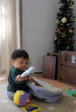 DSC02781.jpg