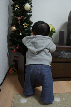 DSC03103.jpg