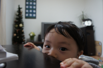 DSC03151.jpg
