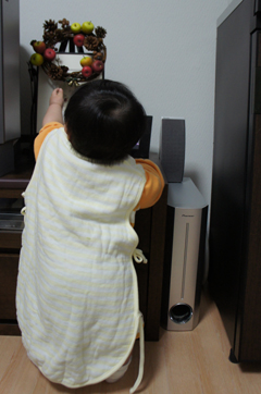 DSC03330.jpg