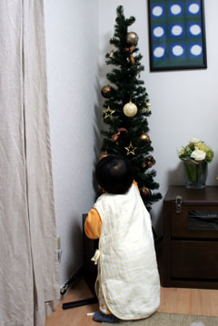 DSC03838.jpg