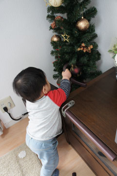DSC03897.jpg