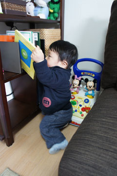 DSC03986.jpg