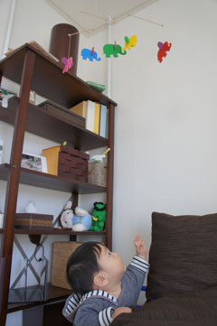 DSC04264.jpg