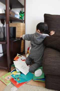 DSC04268.jpg