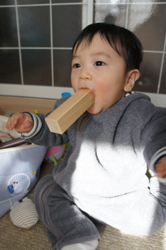 DSC04511.jpg
