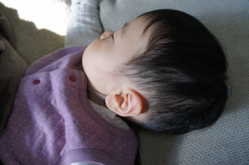 DSC04834.jpg