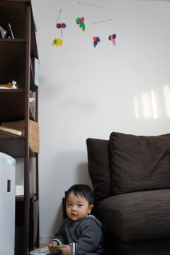 DSC04982.jpg