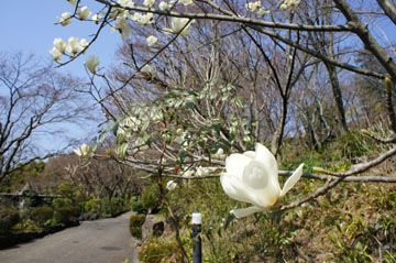 DSC06518.jpg