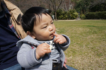 DSC06585.jpg