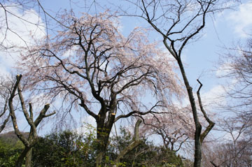 DSC06639.jpg
