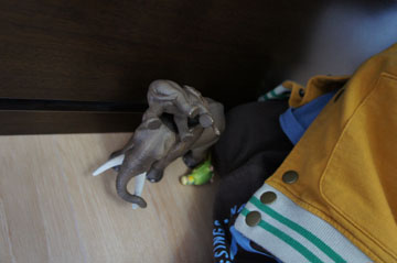 DSC06771.jpg