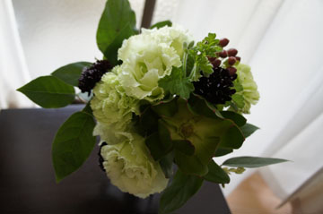 DSC07523.jpg