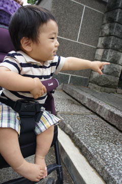 DSC08088.jpg