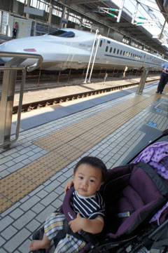 DSC08174.jpg
