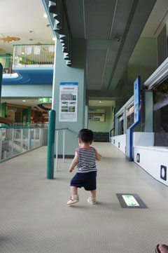 DSC08451.jpg