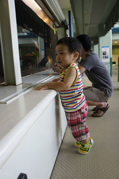 DSC08556.jpg