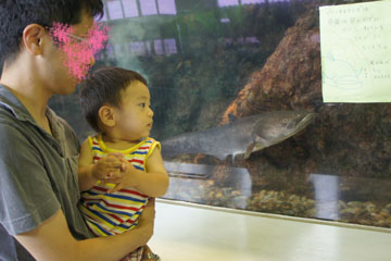 DSC08586.jpg