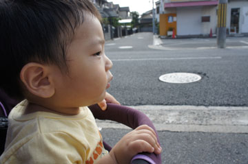 DSC08719.jpg