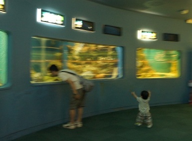 DSC09061.jpg