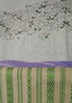 IMG_1396.jpg