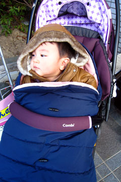 IMG_4769.jpg