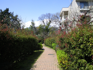 SBCA0286.JPG