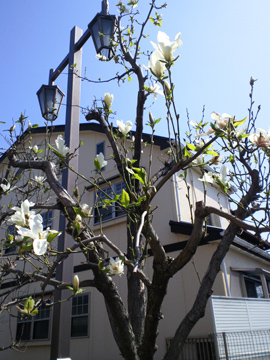 SBCA0289.JPG