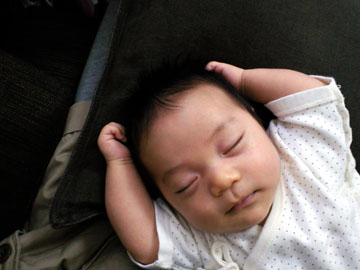 SBCA0350.jpg